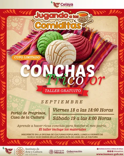 JUGANDO A LAS COMIDITAS: CONCHAS TRICOLO